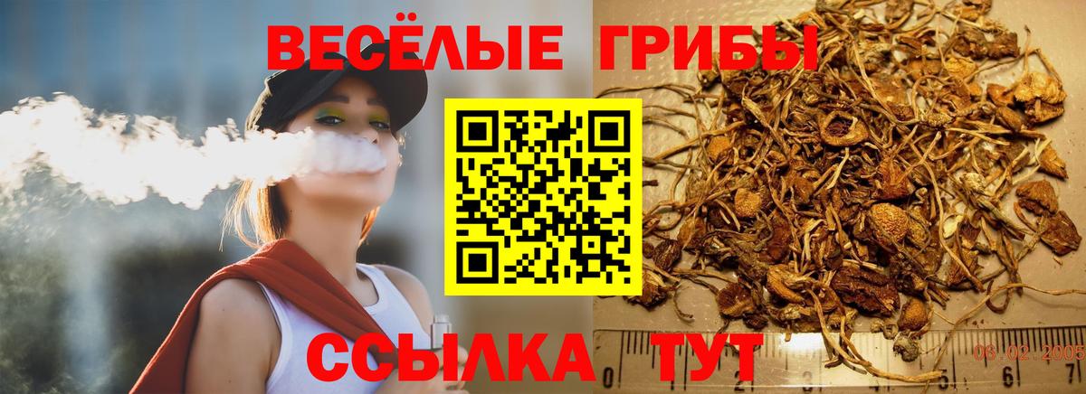 Нижнеудинск  купить закладку  Вход с VPN  Псилоцибиновые грибы мухоморы 